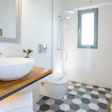 Anemos Luxury Vila *