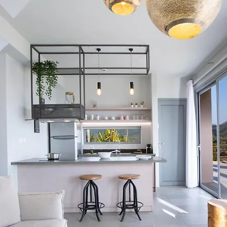 Anemos Luxury 瓦西利基